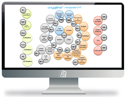 Abonnement mensuel Pack Base